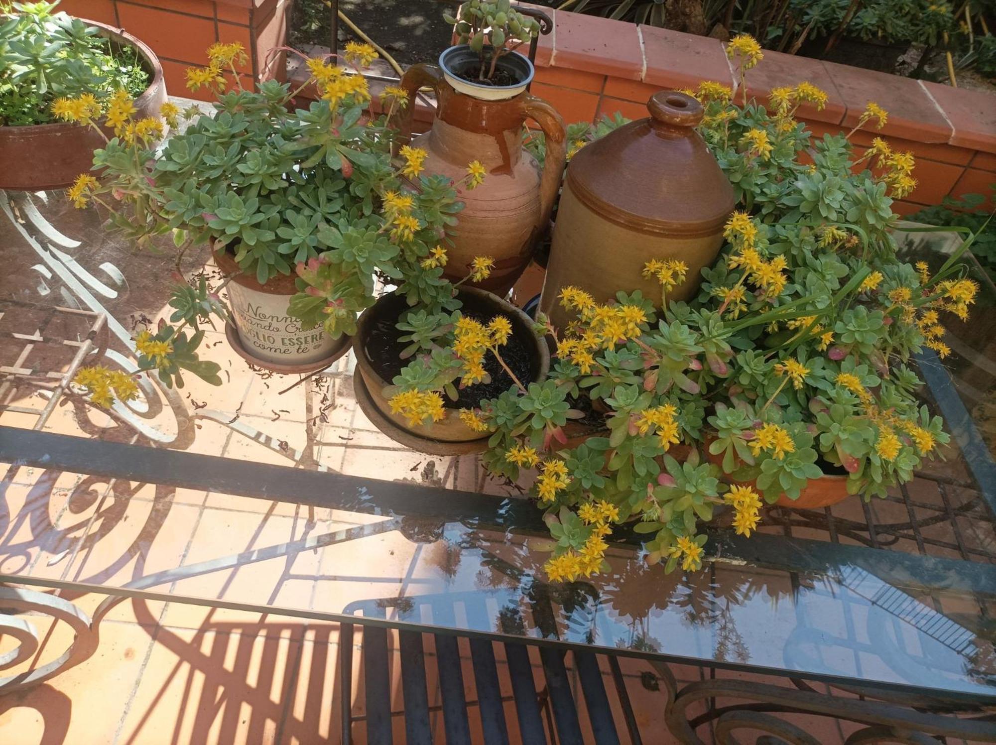 Il Giardino Nascosto Hotel Naples Exterior photo